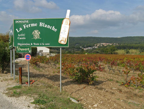 Vineyards around Cassis France