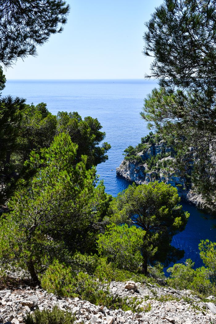 Beautiful view of the Calanques with lush greenery and Mediterranean Sea.