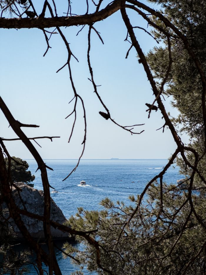 Peaceful coastal scene framed by branches with boat on blue sea.